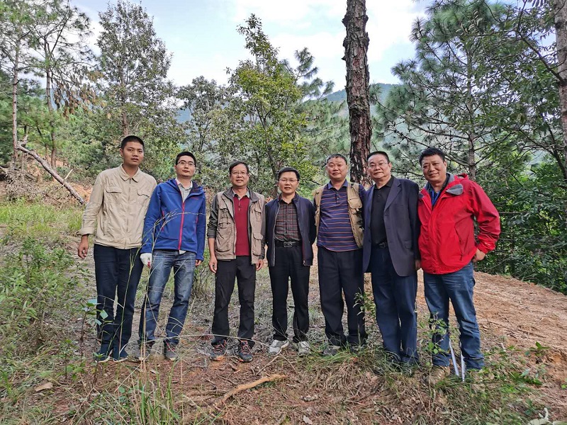 專家指導(dǎo)組合影