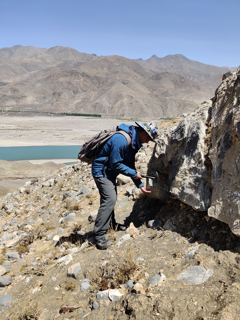 汪辰野外采樣 汪辰野外采樣